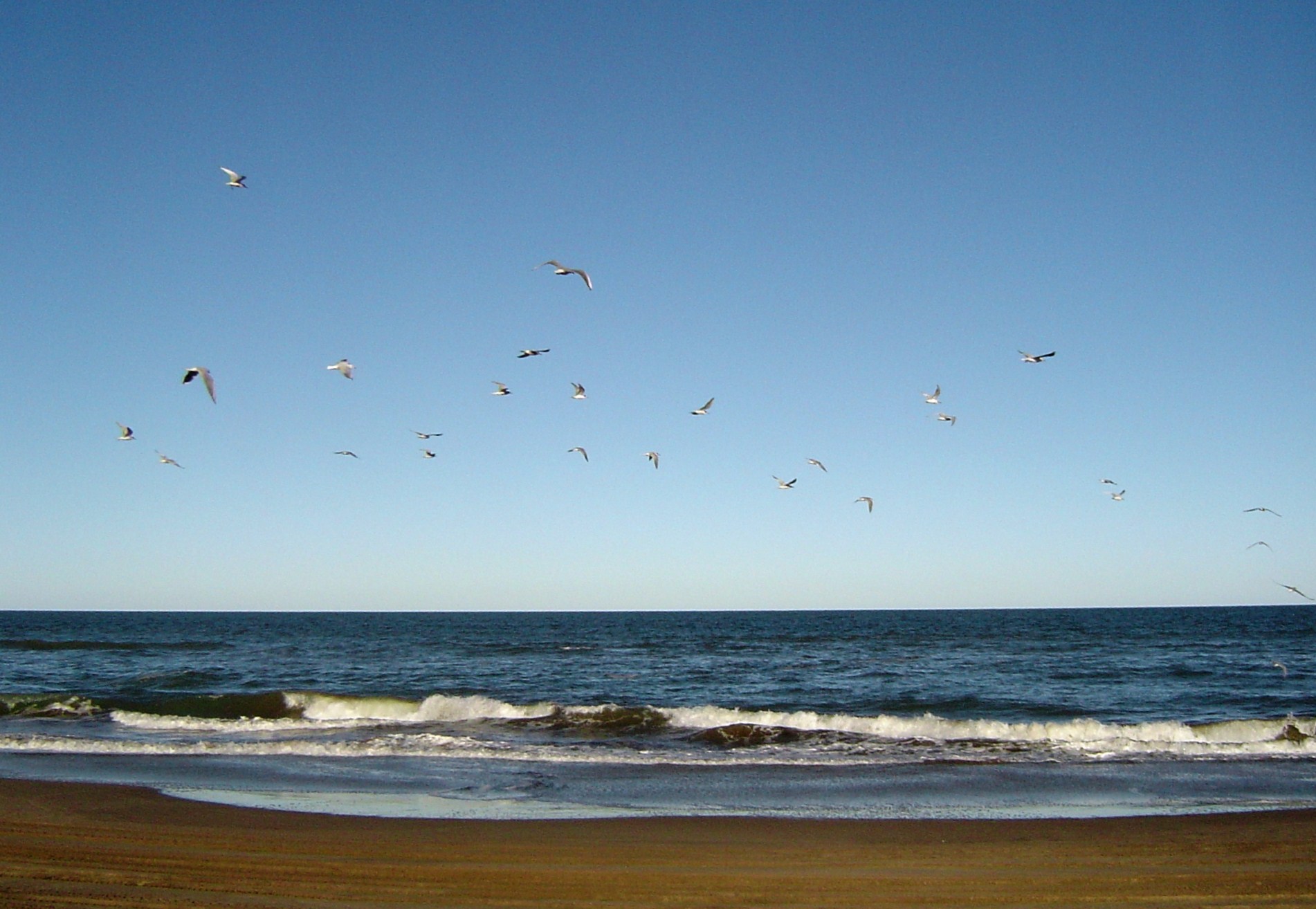 Roberto  - Anfitrión en VoyaGesell - Villa Gesell